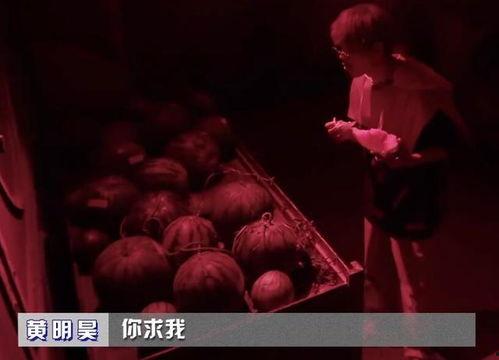 娱乐吃瓜密室逃脱小说推荐